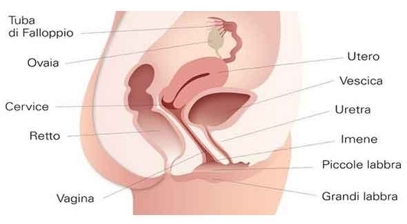 TRATTAMENTO MEDICO ESTETICO INTERNO - MEDI CLINIC LUXURY
